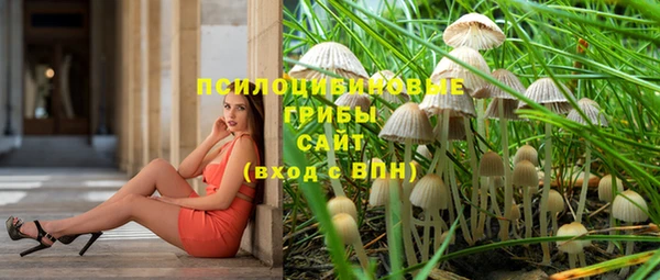 прущий лед Сосновый Бор