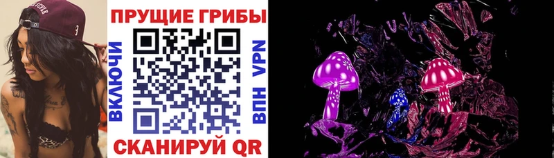 Галлюциногенные грибы Psilocybe  Электросталь 